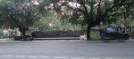 IMG20250530190306