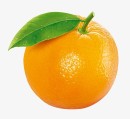 apple ( 1 piece )